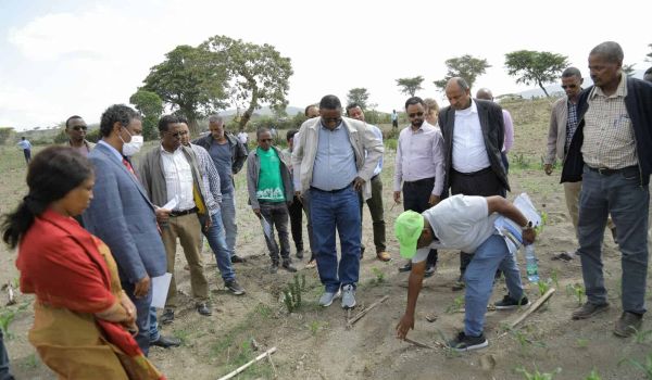 soil erosion prevention measures in Ethiopia