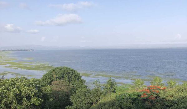 Lake Hawassa