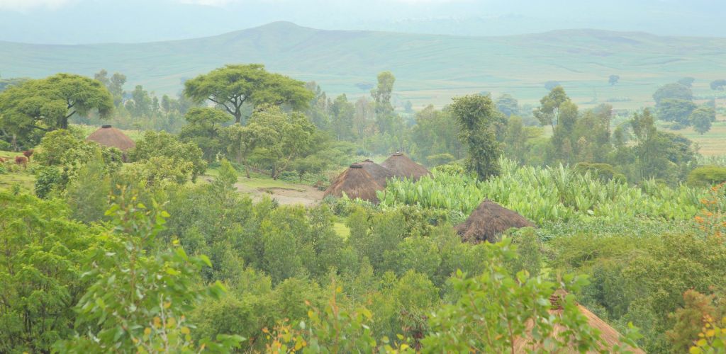 Ethiopia landscape