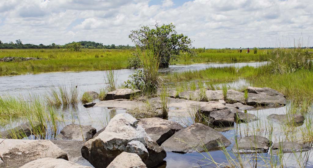 zambia-natures