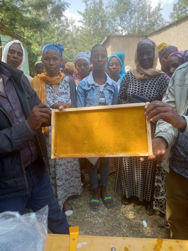 people showing a bee wax frame