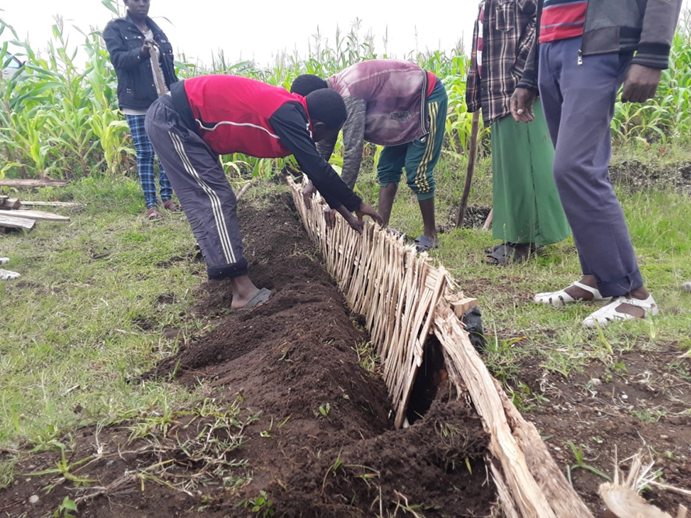 People working on soil erosion control to protect Lake Hawassa